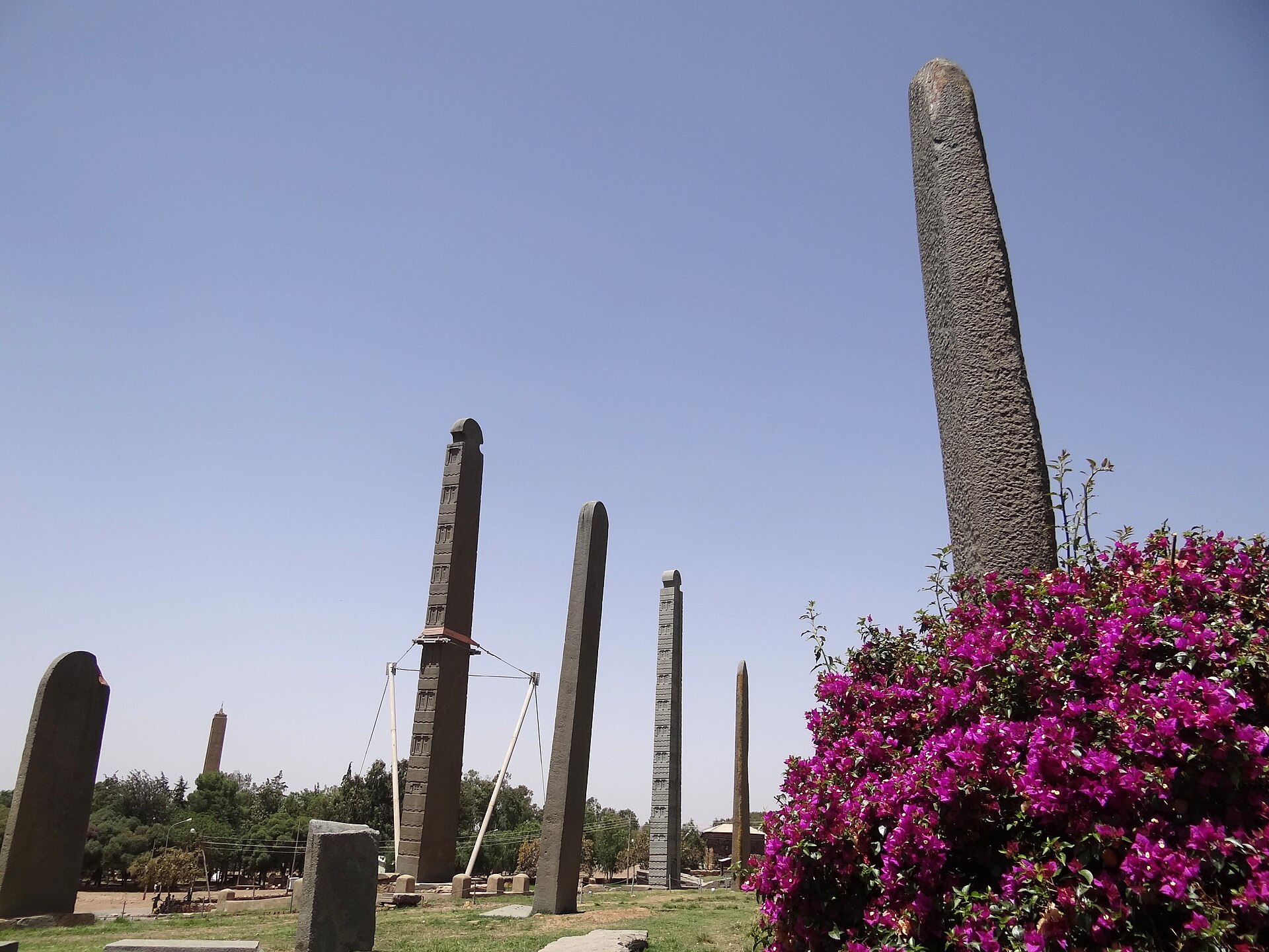 Stelae in Main Stelae Field - Axum (Aksum) - Ethiopia - 02