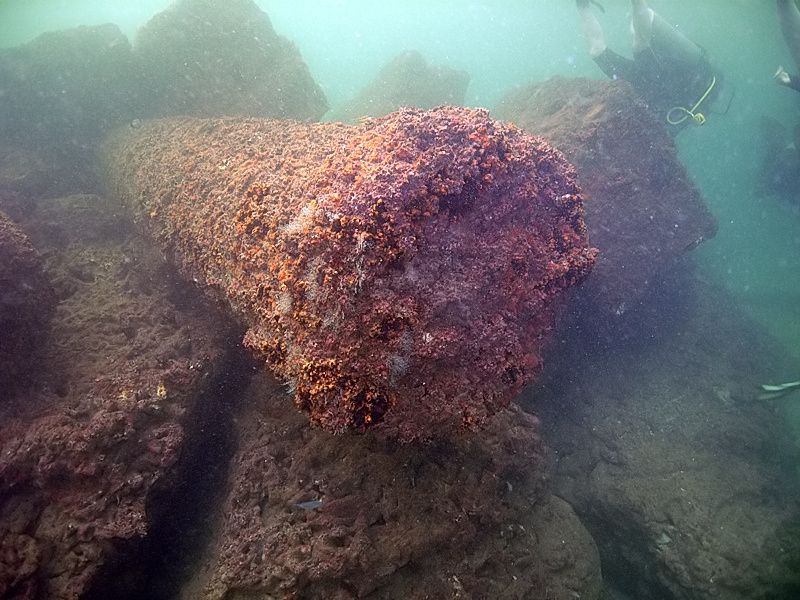 Columns at the underwater museum near the former lighthouse, Alexandria, Egypt