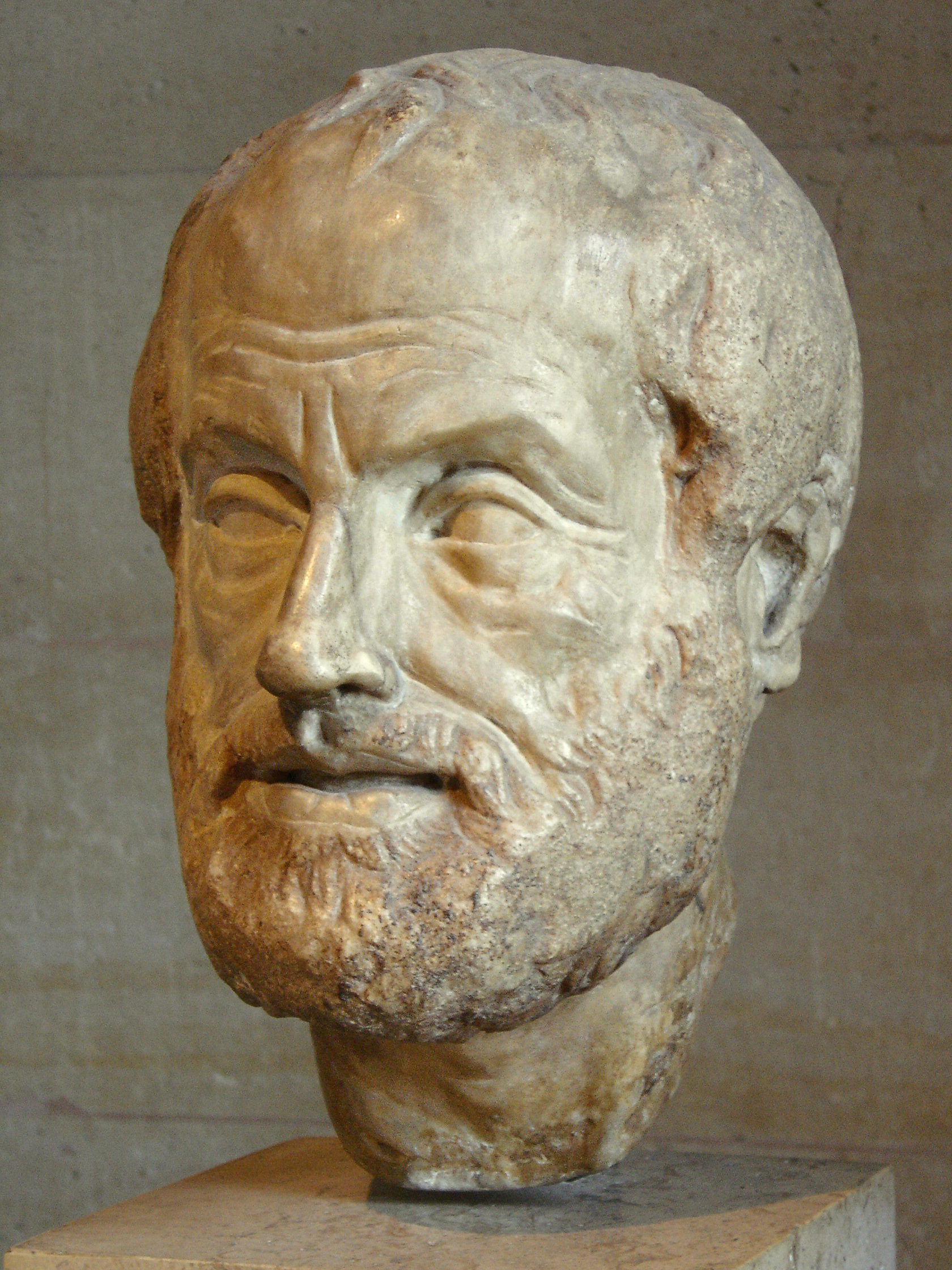 Portrait bust of Aristotle; an Imperial Roman (1st or 2nd century AD) copy of a lost bronze sculpture made by Lysippos. Louvre 