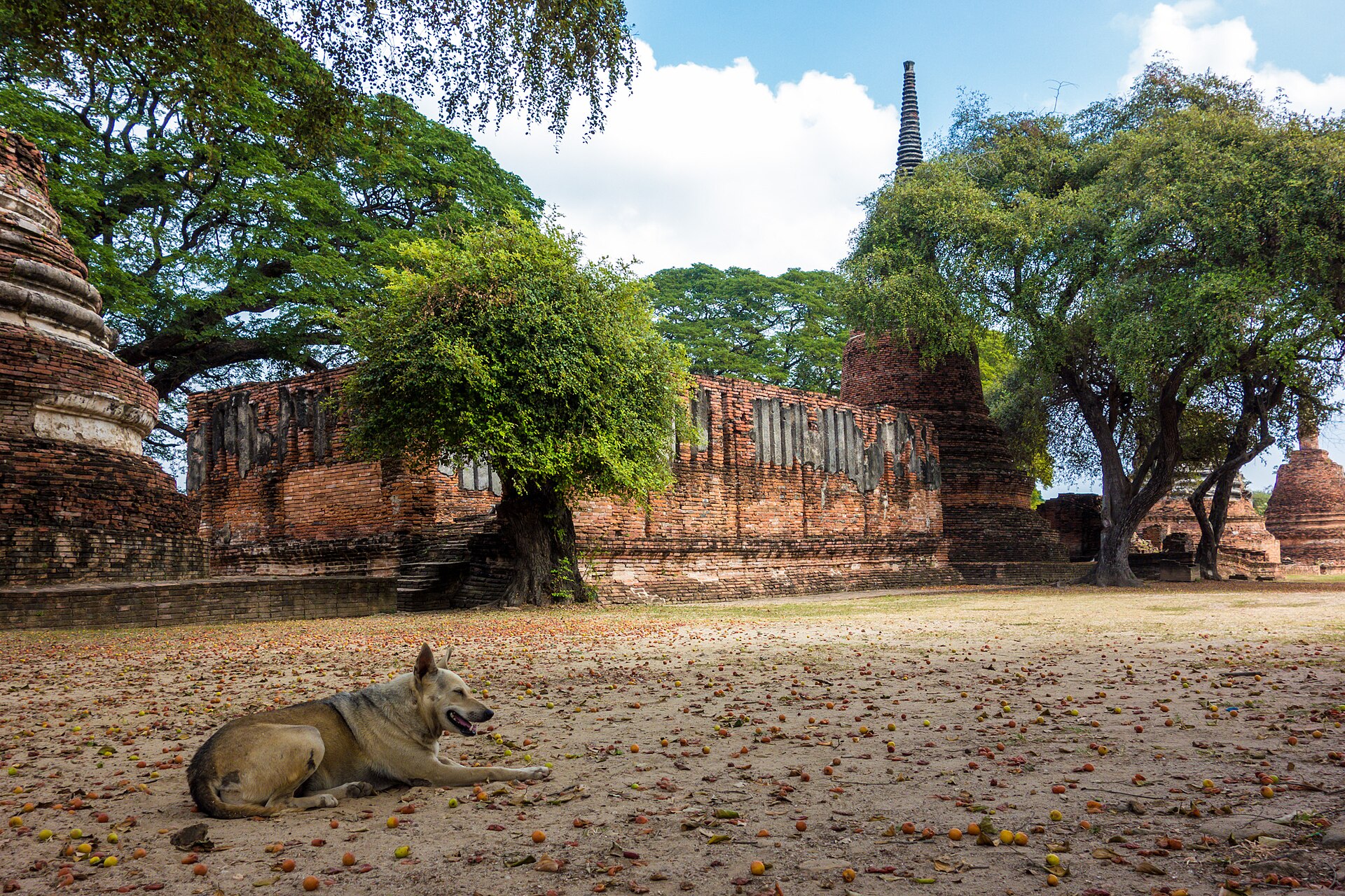Thailand - Ayutthaya