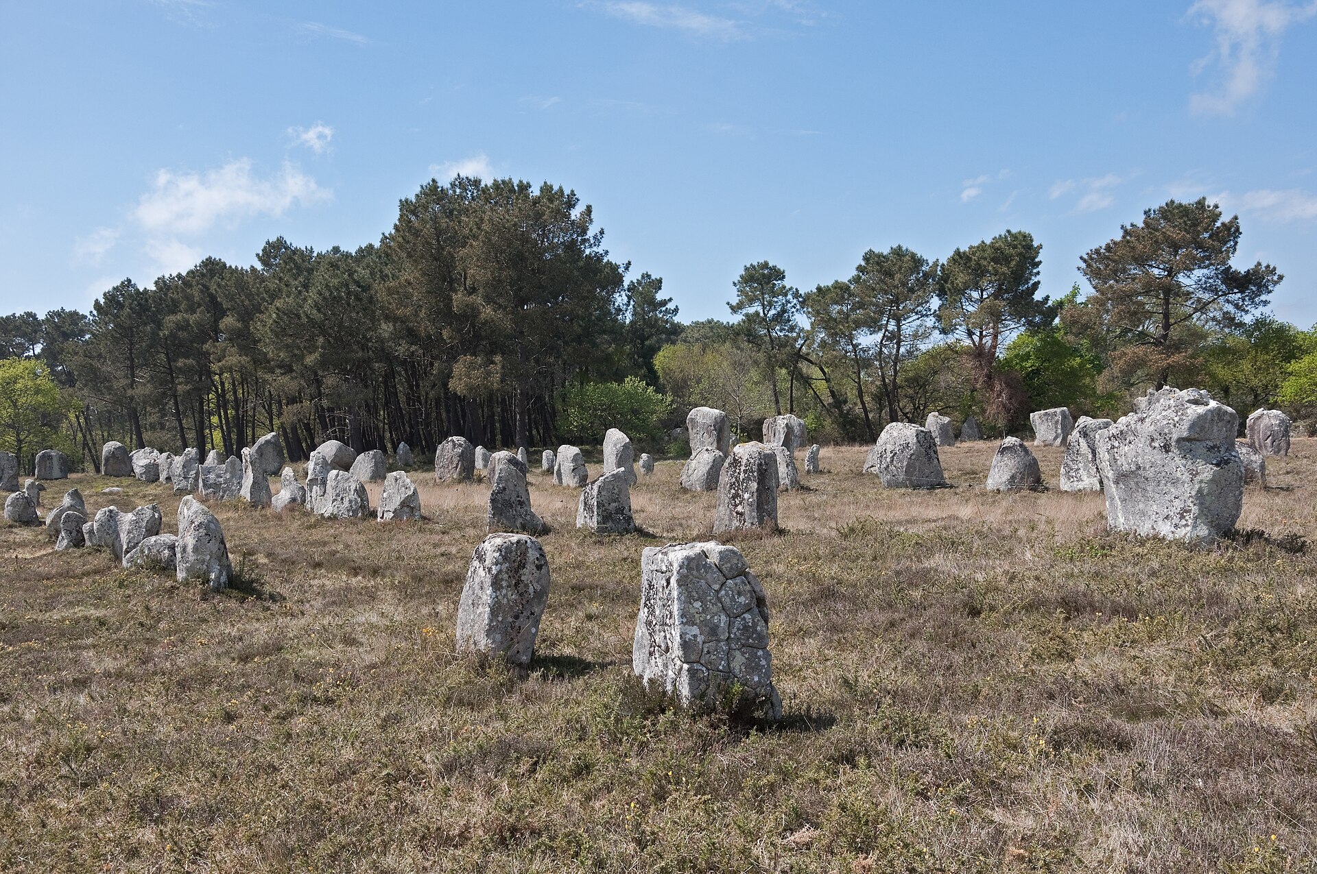 Stones in the Kerlescan alignment in Carnac (Morbihan, Brittany, France)