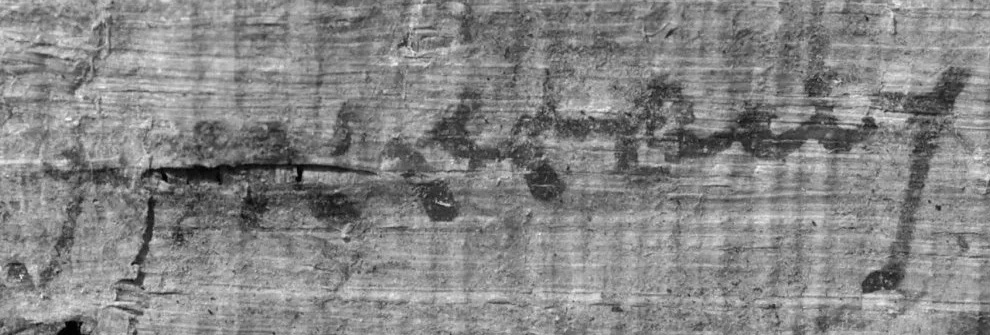Duane W. Roller (2010, p. 134) provides a description of this papyrus document from late Ptolemaic Egypt, dated to the reign of Cleopatra VII: In February 33 B.C. she approved an order granting certain tax exemptions to 