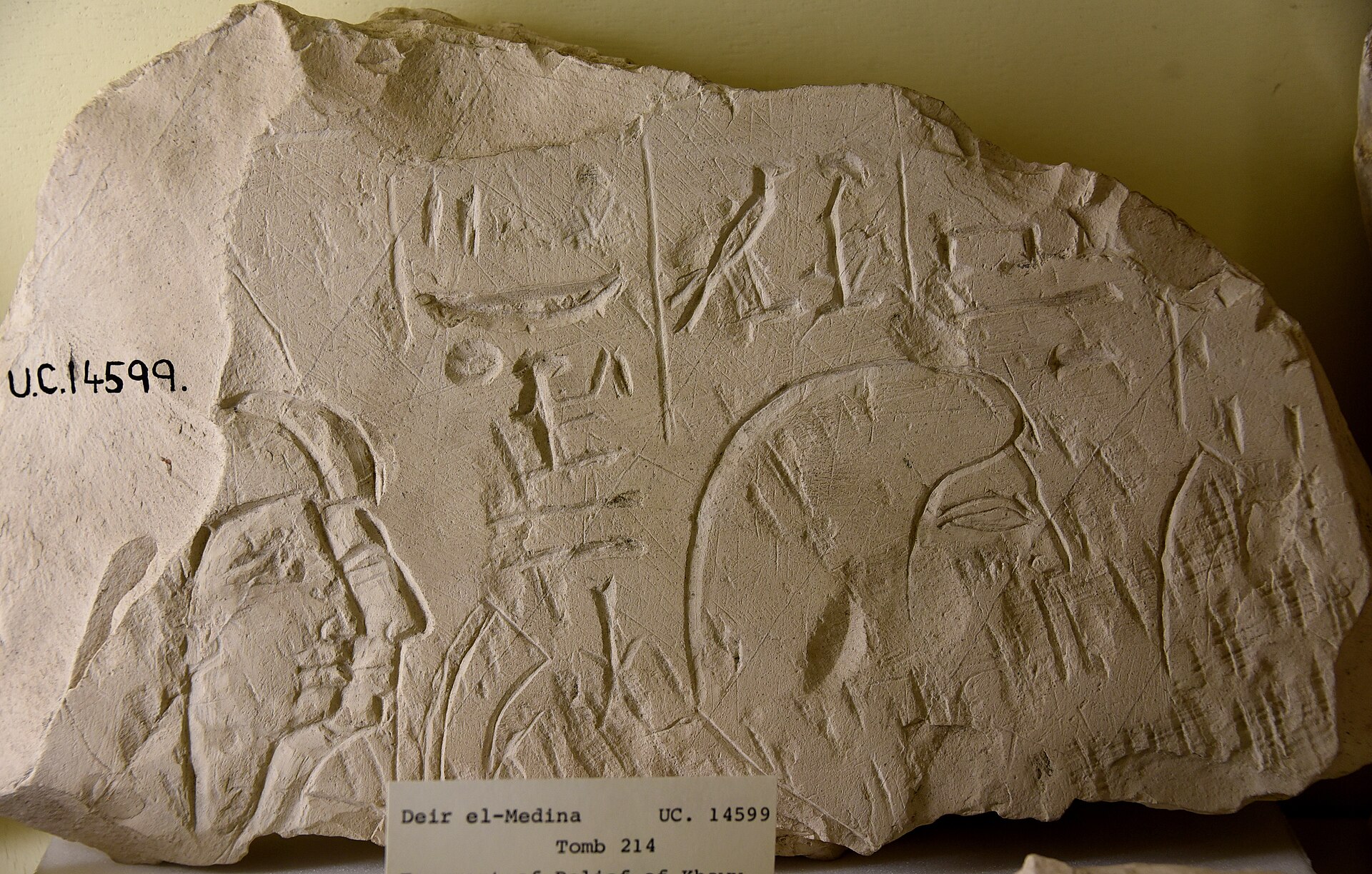 Fragment of relief of Khawy, Servant in the Place of Truth. 19th Dynasty. From Tomb 214 at Deir el-Medina, Egypt.The Petrie Museum of Egyptian Archaeology, London. With thanks to the Petrie Museum of Egyptian Archaeology