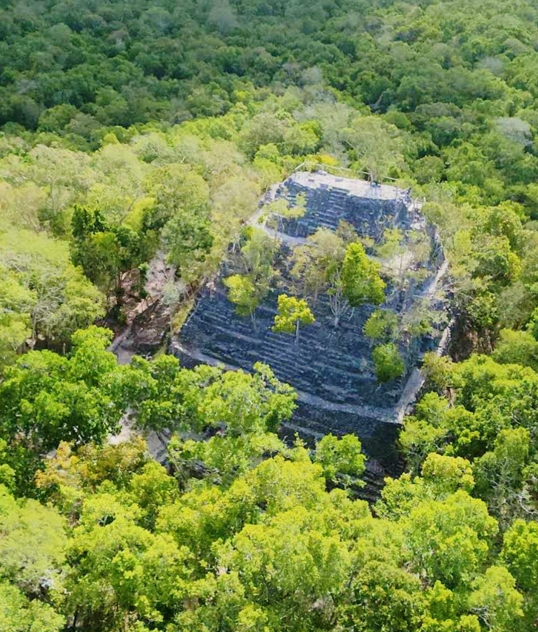 Pyramid of La Danta at the archaeological site of El Mirador, Petén, Guatemala