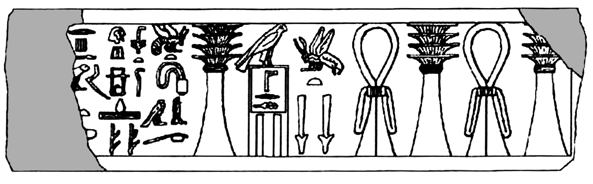 Redrawing of Inscription of Statue base Inscription of JE 49889. Shows name and titles of Imhotep, and Name of Pharao Netjerichet (Djoser). Damaged areas are marked in gray