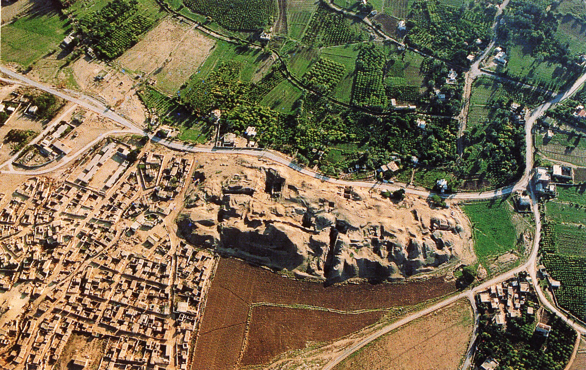 Aerial view of the archaeological area of Jericho, specifically showing Tell es-Sultan. The top and right parts of the image show trees, green crop fields, and other vegetation. On the bottom left of the image, you can s