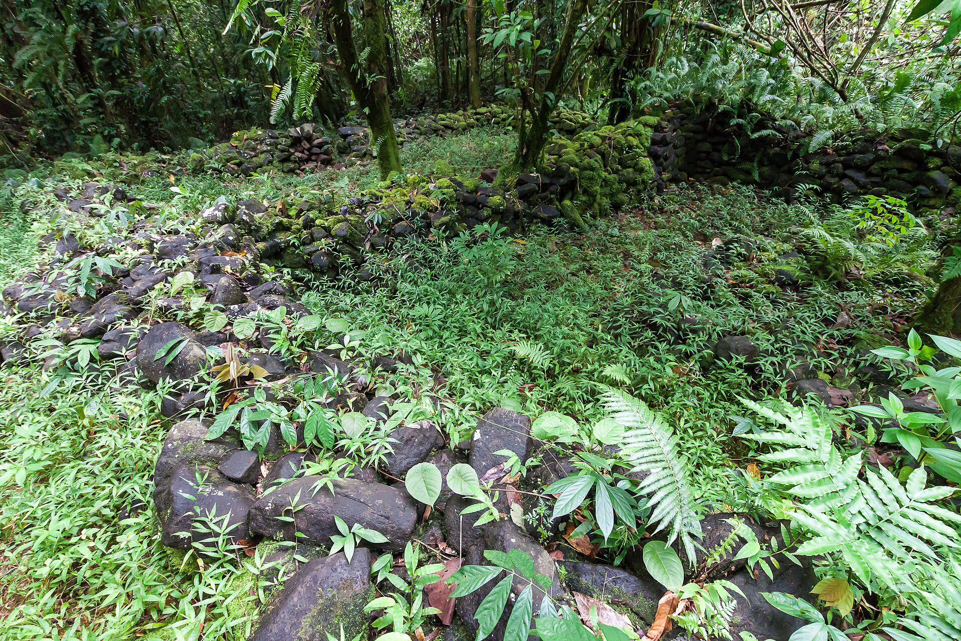 Typical fragments of Lelu ruins, in the jungle of Kosrae, Micronesia