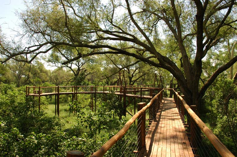 Boardwalk - Mapungubwe