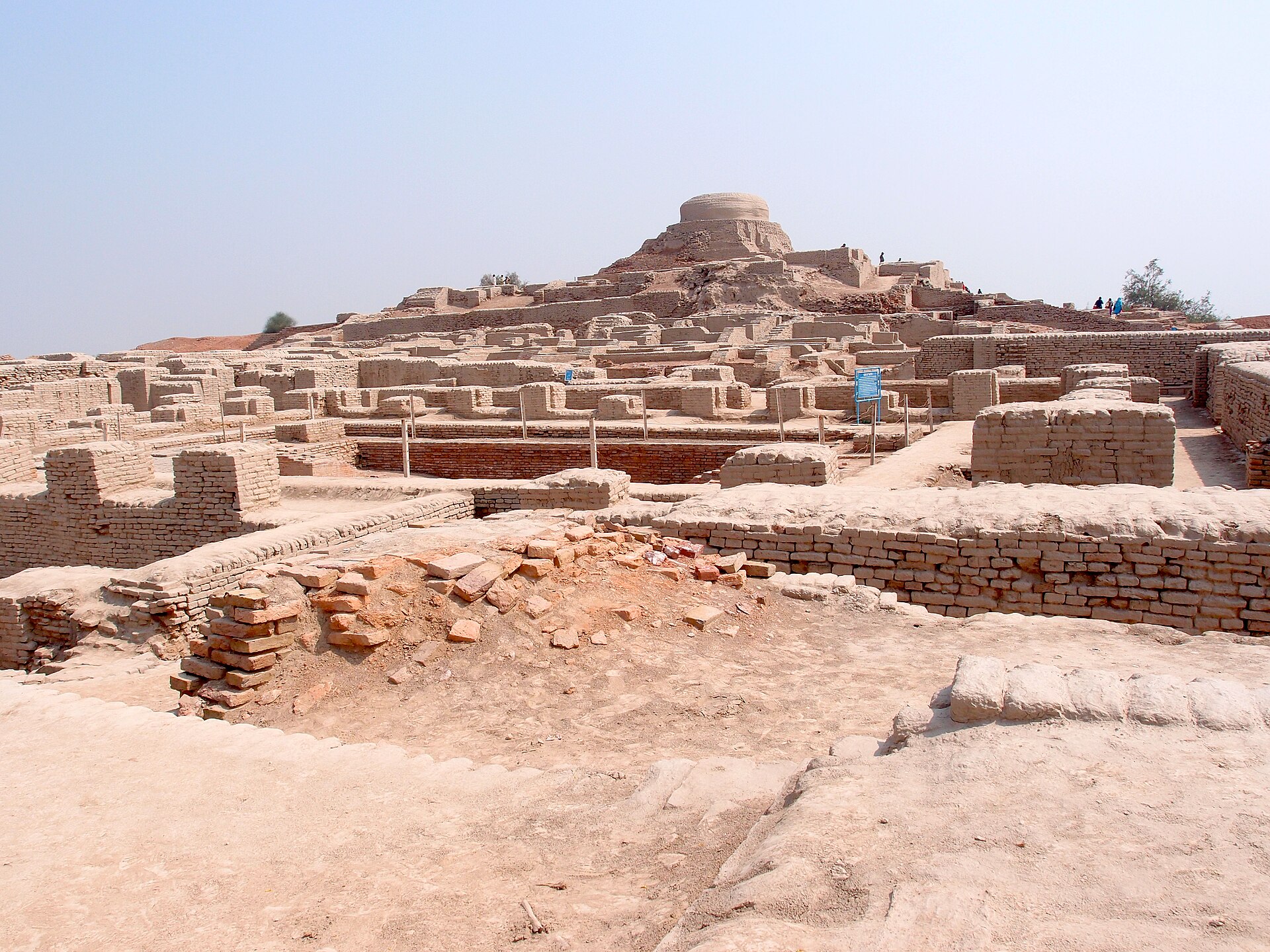 A view of the Buddhist stupa in the background located in the higher settlement to the west, generally referred to as the citadel mound, and it is mostly comprised of the ruins of ancient administrative buildings constru