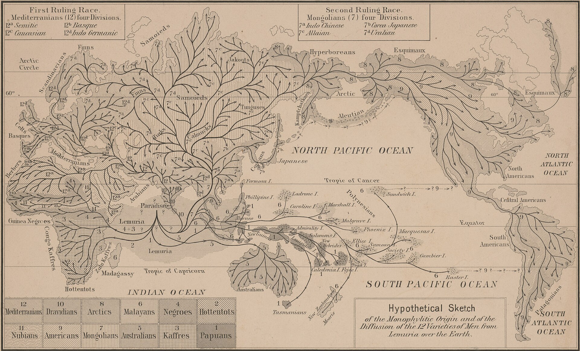 Title: Hypothetical sketch of the monophyletic origin and of the diffusion of the 12 varieties of men from Lemuria over the earth Abstract/medium: 1 print : lithograph ; sheet 21.6 x 33.6 cm.