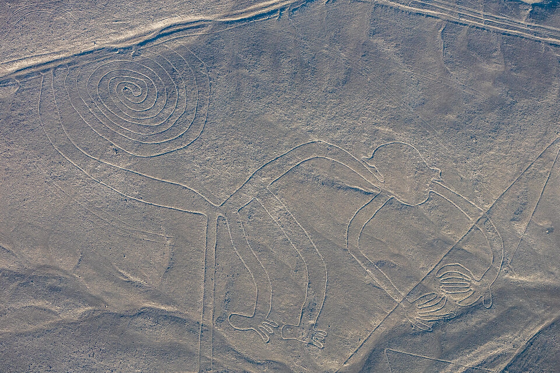 Aerial view of the "Monkey", one of the most popular geoglyphs of the Nazca Lines, which are located in the Nazca Desert in southern Peru. The geoglyphs of this UNESCO World Heritage Site (since 1994) are spread over a 8