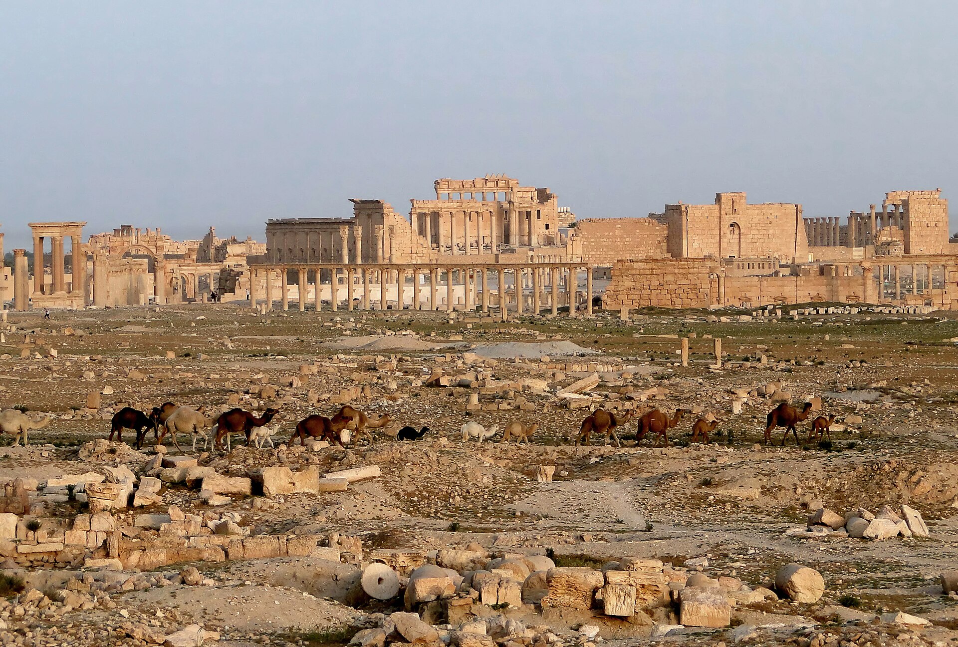 View of Palmyra with the Temple of Bel, Syria