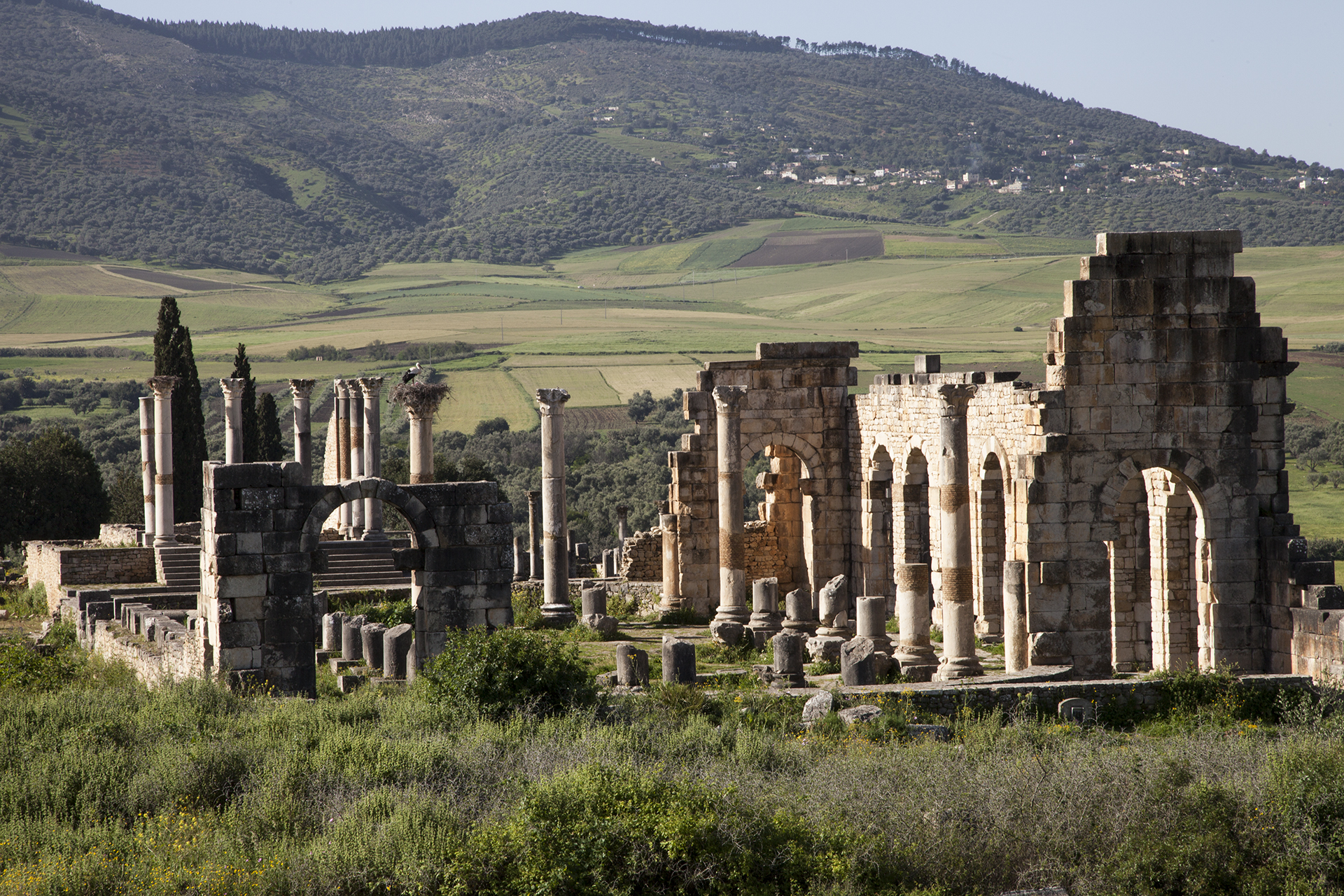Volubilis ruins, Morocco